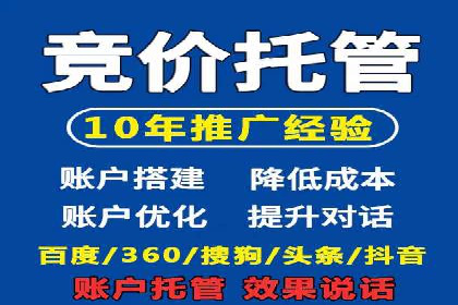 SEM推广优化策略：成功案例解析